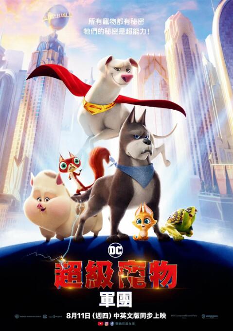 成版人短视频app