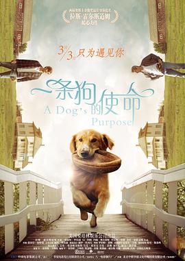 里番在线播放
