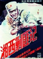 小骚菊