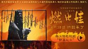 的福利影视专区