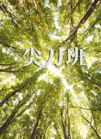 女人天堂网在线观看2019