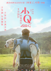 中文有码久久
