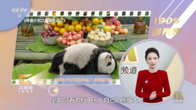 www色婷婷